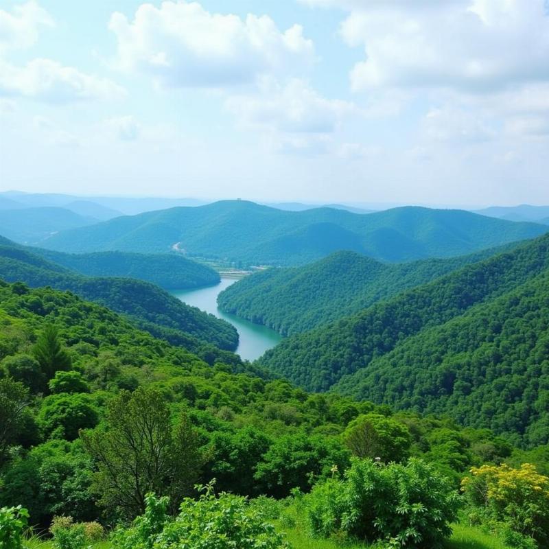 Purulia Landscape Panoramic View