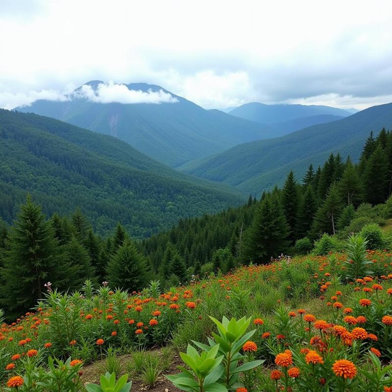 Silent Valley National Park near Perinthalmanna: A biodiversity hotspot.