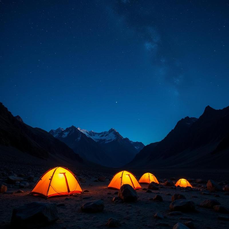 Camping Under the Stars in Spiti Valley