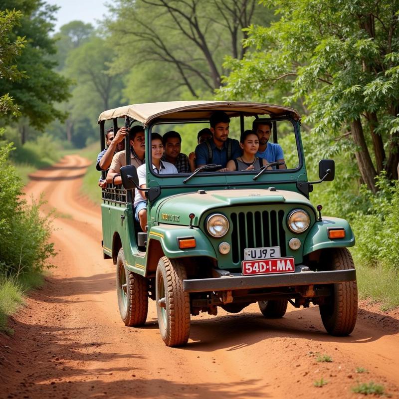 Tadoba National Park Safari Jeep