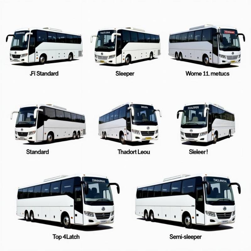 Thangamayil Travels Bus Fleet