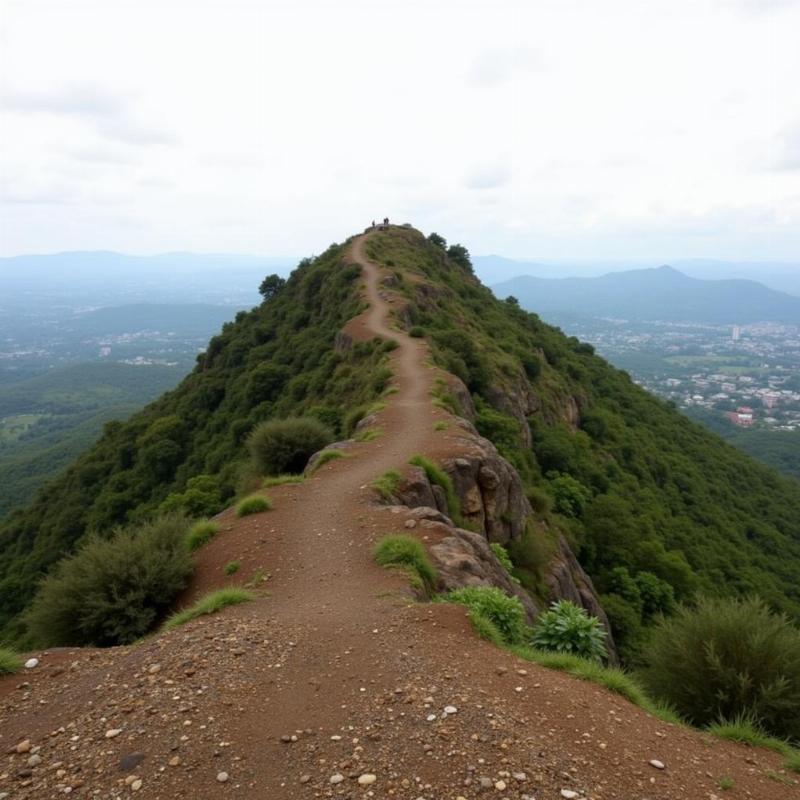 Torna Fort Trek: Highest Peak near Pune