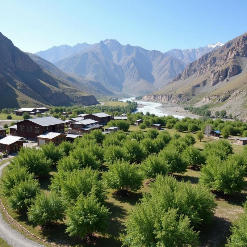 Turtuk Village Overview