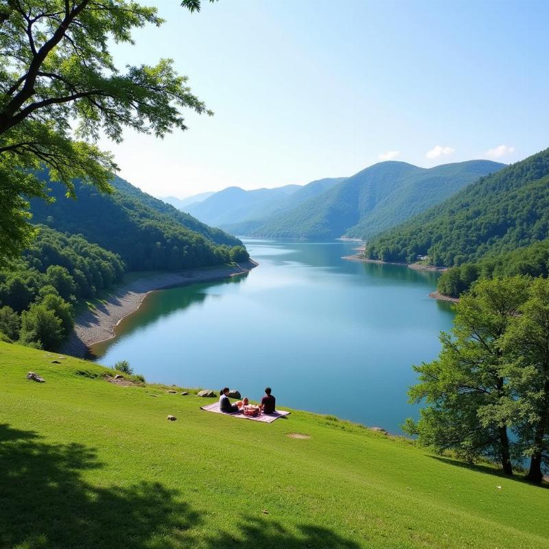 Yagachi Dam Karnataka