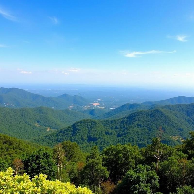 Yelagiri panoramic view from a hilltop showcasing lush greenery, rolling hills, and a clear blue sky.