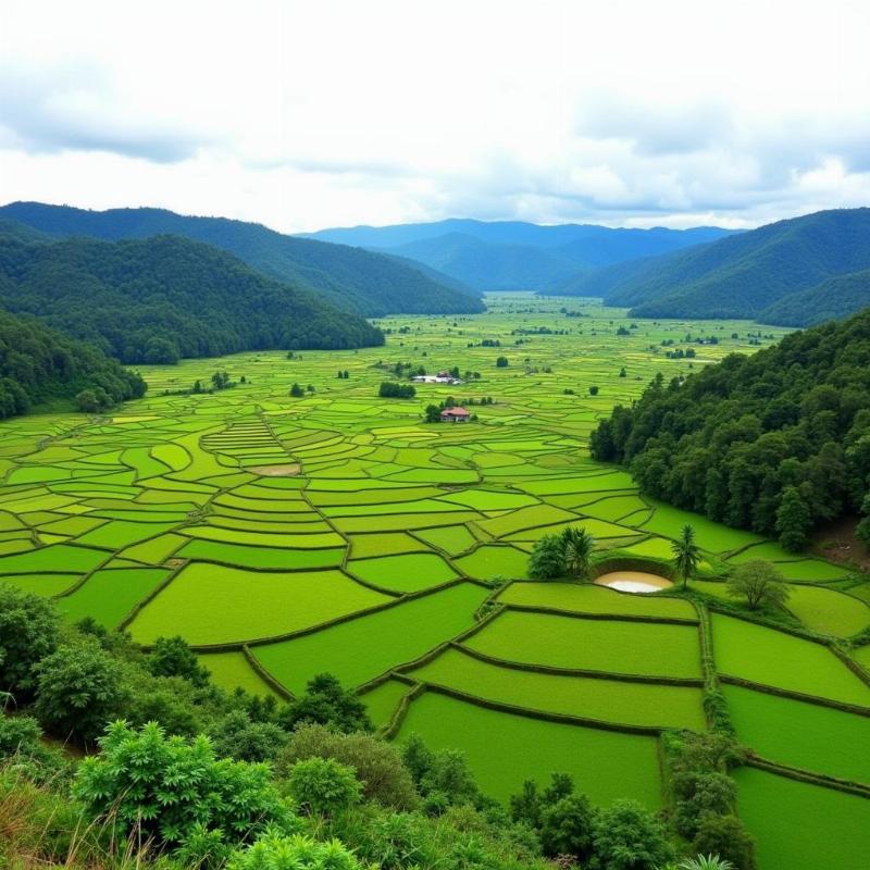 Ziro Valley, a UNESCO World Heritage Site