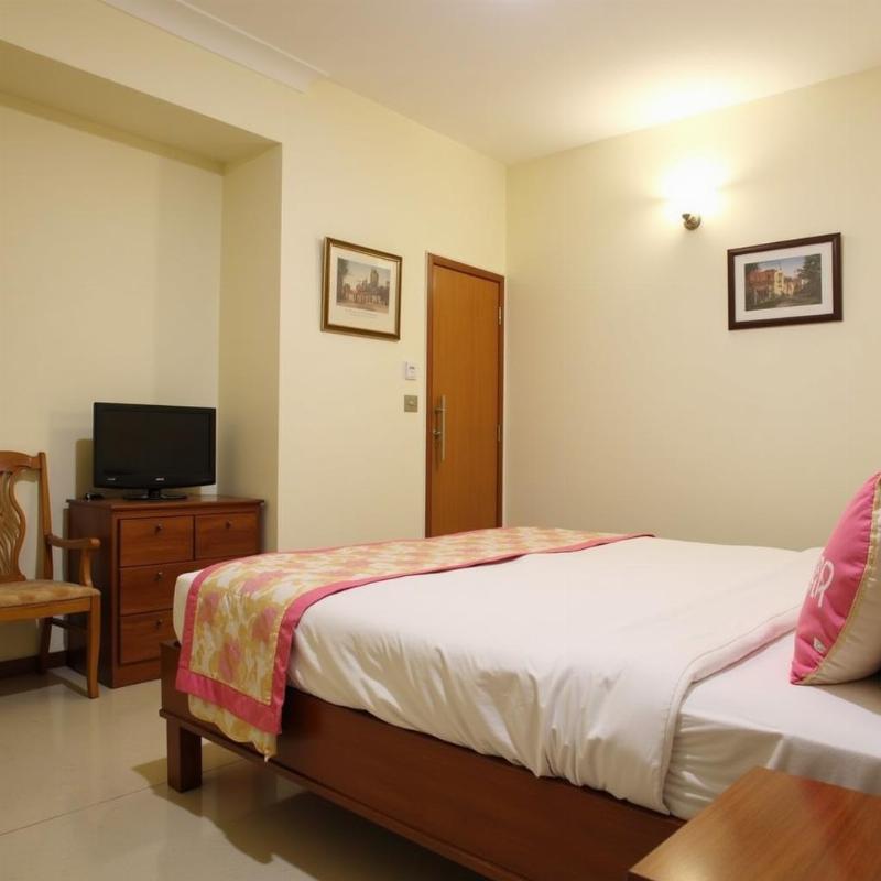 Comfortable and Affordable Budget Stays in Alwar