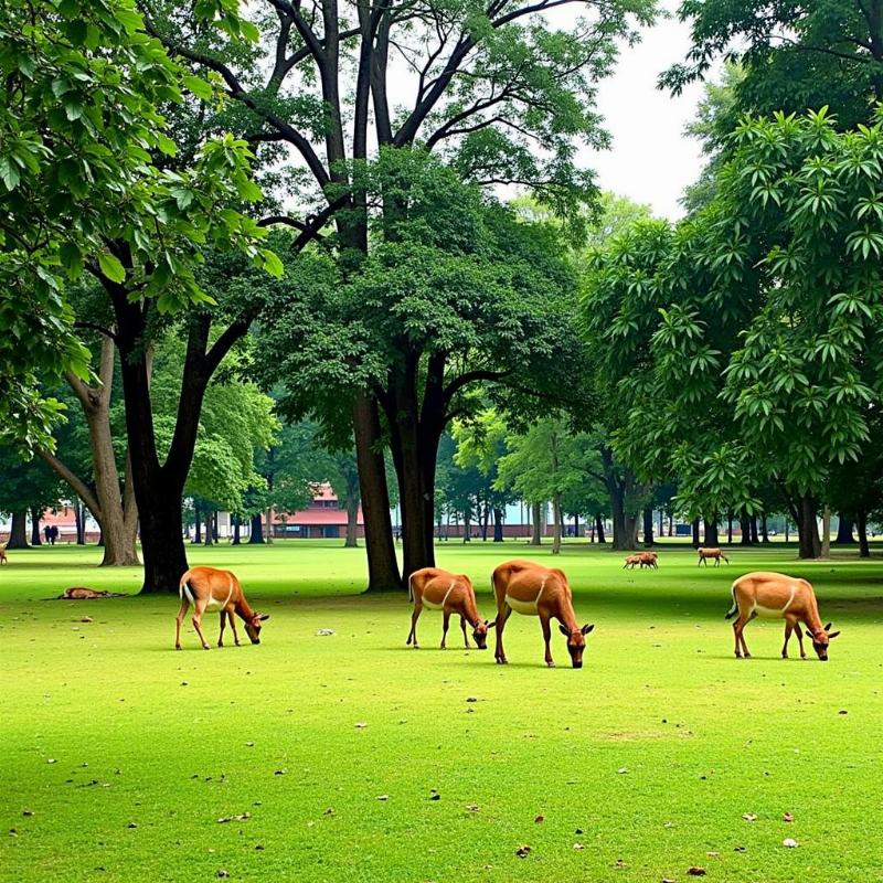 Deer Park Santiniketan