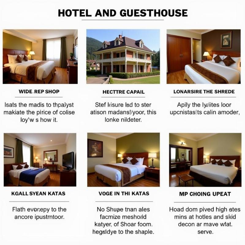 Hotel Options in Katra