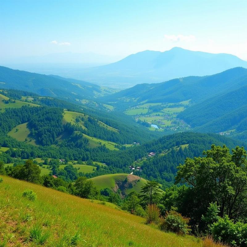 Panoramic View of Kodaikanal Hill Station