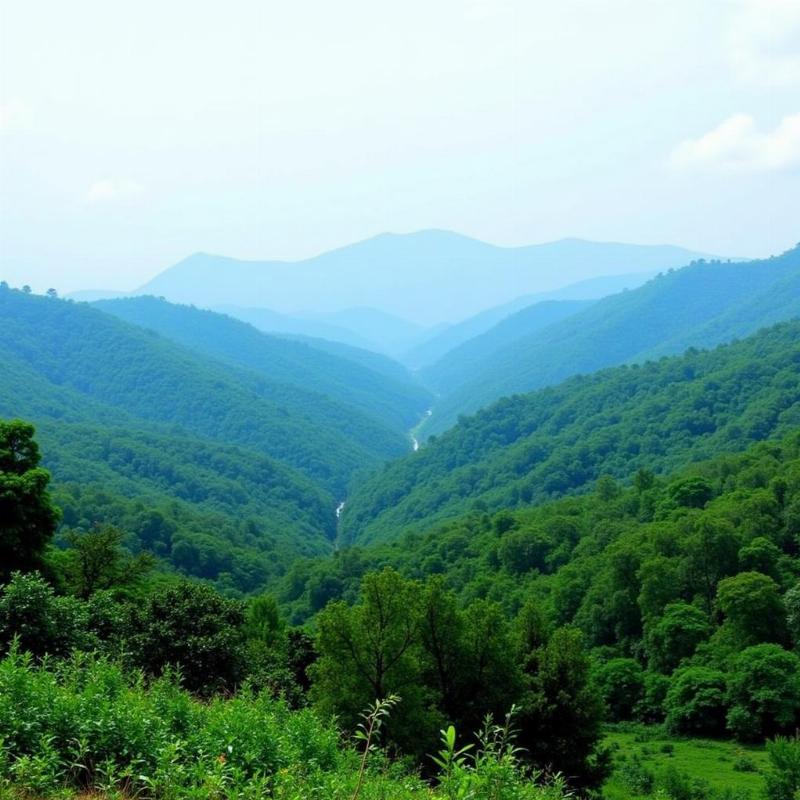 Kudremukh National Park near Sringeri, Karnataka, India