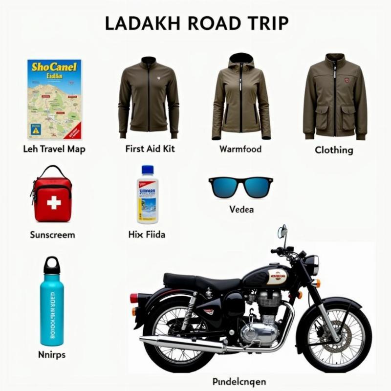 Ladakh Road Trip Essentials