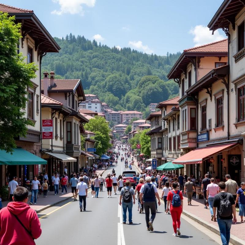 Shimla Mall Road in May