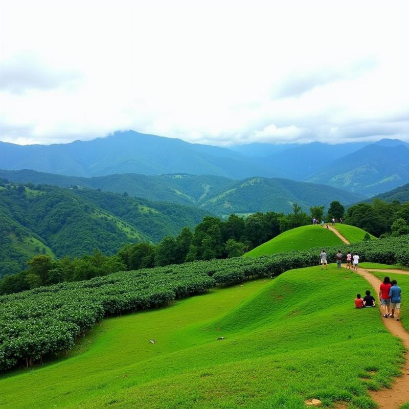 Scenic view of Sirumalai Hills near Dindigul